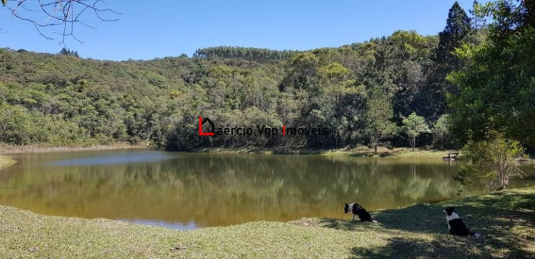 Imagem Imóvel com 2 Quartos à Venda, 133.100 m² em Carmo Messias - Ibiúna