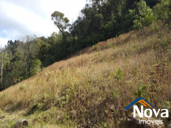 Imagem Imóvel à Venda, 429 m² em São Jacó - Nova Petrópolis Imagem Imóvel à Venda, 429 m² em São Jacó - Nova Petrópolis