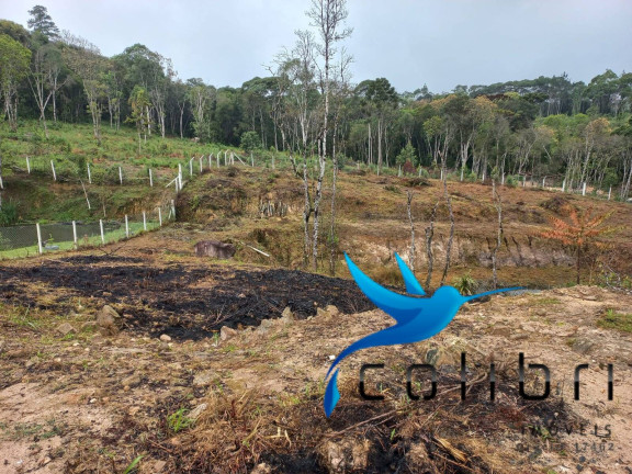 Imagem Chácara com 3 Quartos à Venda, 4.612 m² em Ribeirão Grande - Agudos Do Sul