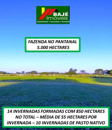 Imagem Fazenda à Venda, 5.000 m² em Goiânia