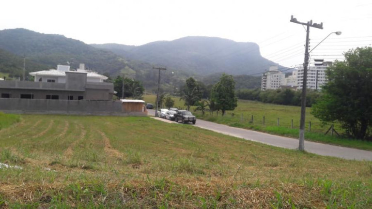 Imagem Terreno à Venda, 600 m² em Pedra Branca - Palhoça Imagem Terreno à Venda, 600 m² em Pedra Branca - Palhoça
