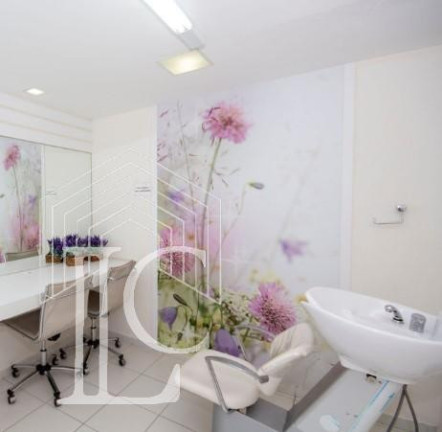 Imagem Apartamento com 3 Quartos à Venda, 63 m² em Cidade Ademar - São Paulo