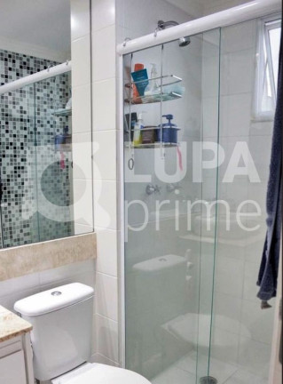 Imagem Apartamento com 3 Quartos à Venda, 66 m² em Vila Guilherme - São Paulo Imagem Apartamento com 3 Quartos à Venda, 66 m² em Vila Guilherme - São Paulo