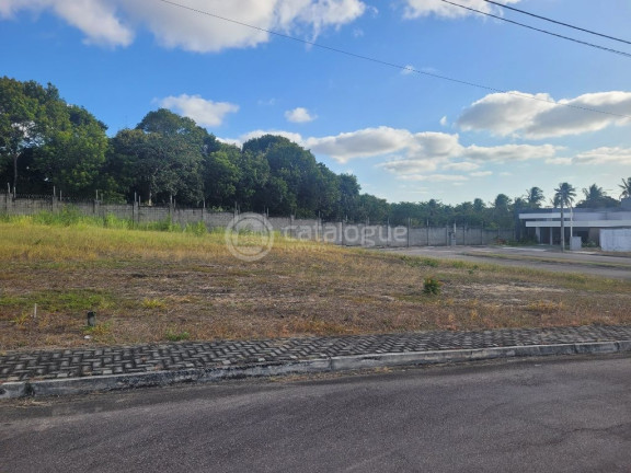 Imagem Terreno em Condomínio à Venda, 534 m² em Emaús - Parnamirim Imagem Terreno em Condomínio à Venda, 534 m² em Emaús - Parnamirim