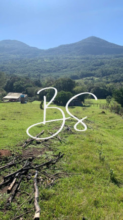 Imagem Imóvel com 2 Quartos à Venda, 30.000 m² em Solitária Alta - Igrejinha Imagem Imóvel com 2 Quartos à Venda, 30.000 m² em Solitária Alta - Igrejinha