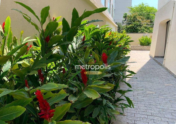 Imagem Apartamento com 4 Quartos para Alugar, 195 m² em Pinheiros - São Paulo Imagem Apartamento com 4 Quartos para Alugar, 195 m² em Pinheiros - São Paulo