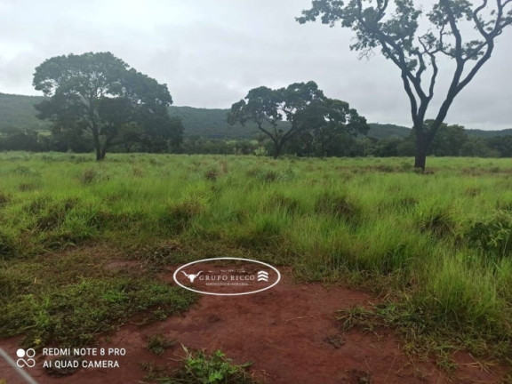 Fazenda à Venda, 21 m² em Zona Rural - Israelândia