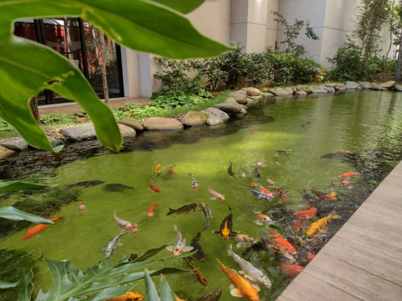 Imóvel com 2 Quartos à Venda, 50 m² em Brás - São Paulo