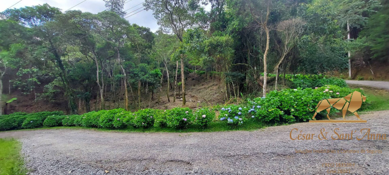 Imagem Terreno à Venda, 1.050 m² em Alto Da Boa Vista - Campos Do Jordão Imagem Terreno à Venda, 1.050 m² em Alto Da Boa Vista - Campos Do Jordão