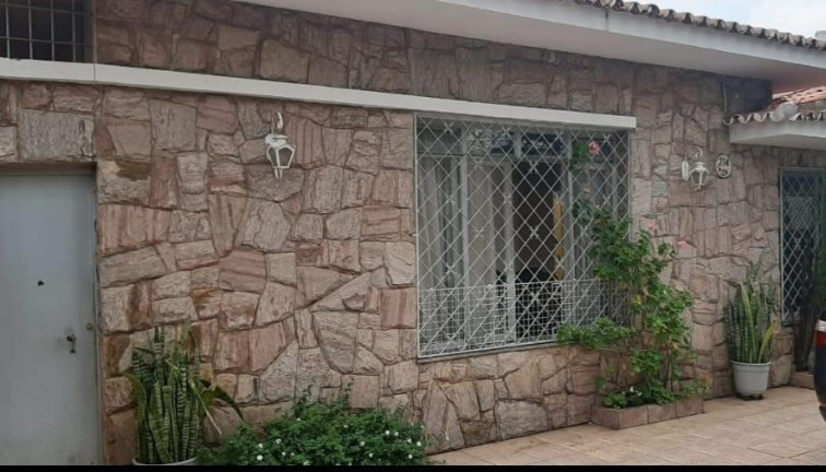 Imagem Imóvel com 4 Quartos à Venda, 160 m² em Vila Itapura - Campinas