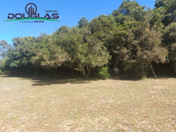 Imagem Chácara com 2 Quartos à Venda, 11.000 m² em Viamão Imagem Chácara com 2 Quartos à Venda, 11.000 m² em Viamão