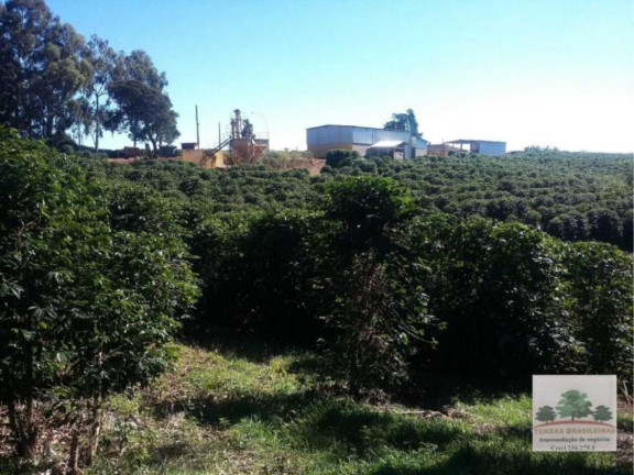Imagem Fazenda à Venda, 2.000 m² em Centro - Campanha Imagem Fazenda à Venda, 2.000 m² em Centro - Campanha