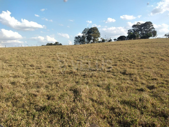 Imagem Imóvel à Venda, 242.000 m² em Santa Cruz Dos Matos - Itapetininga
