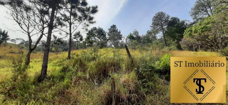 Imagem Chácara com 3 Quartos à Venda, 72.000 m² em Estância Santa Maria Do Portão - Atibaia Imagem Chácara com 3 Quartos à Venda, 72.000 m² em Estância Santa Maria Do Portão - Atibaia