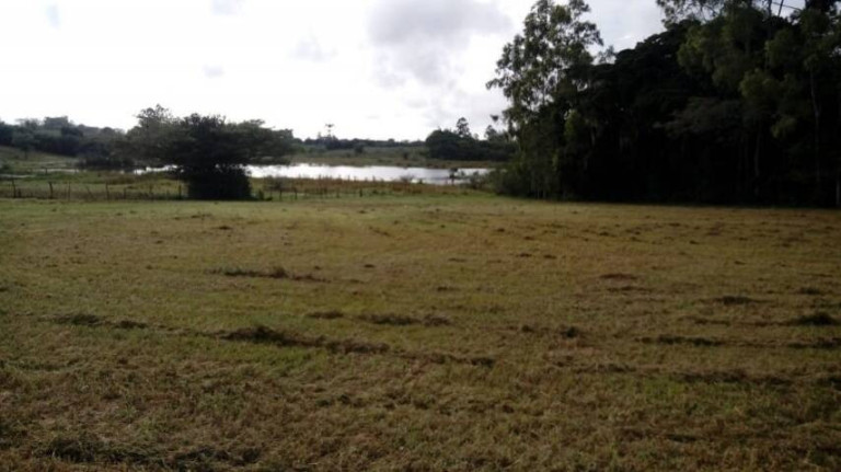 Chácara à Venda, 5.536 m² em águas Claras - Viamão