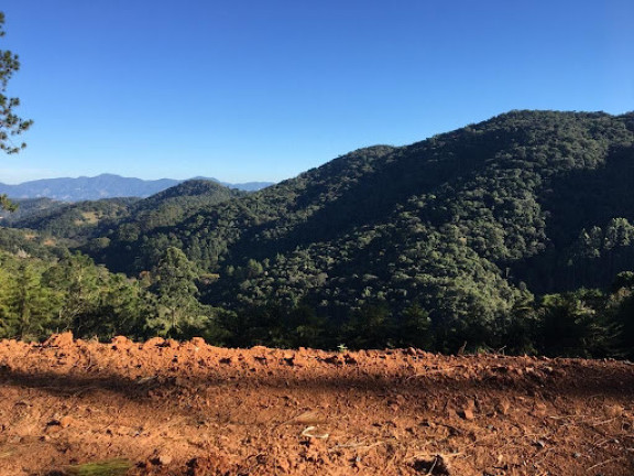 Imagem Terreno à Venda, 1.767 m² em Eugênio Lefevre - Santo Antônio Do Pinhal Imagem Terreno à Venda, 1.767 m² em Eugênio Lefevre - Santo Antônio Do Pinhal