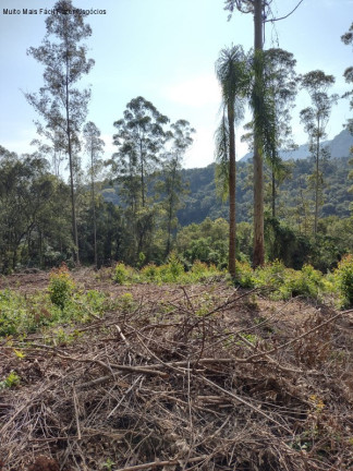 Terreno à Venda, 20.978 m² em Arroio Paixão - Nova Petrópolis