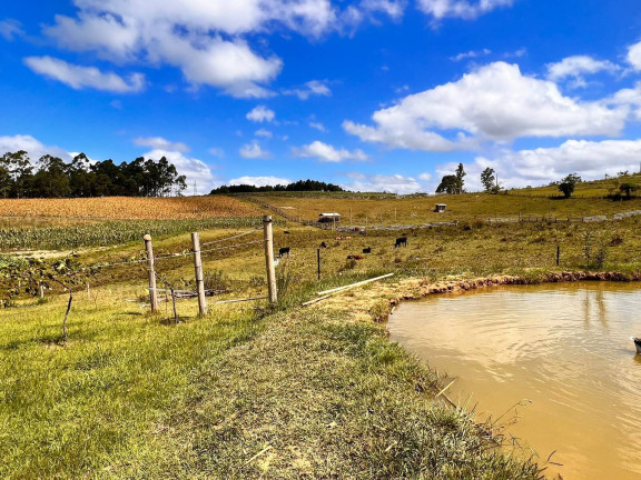 Imagem Chácara com 2 Quartos à Venda, 6 m² em Morungava - Gravataí