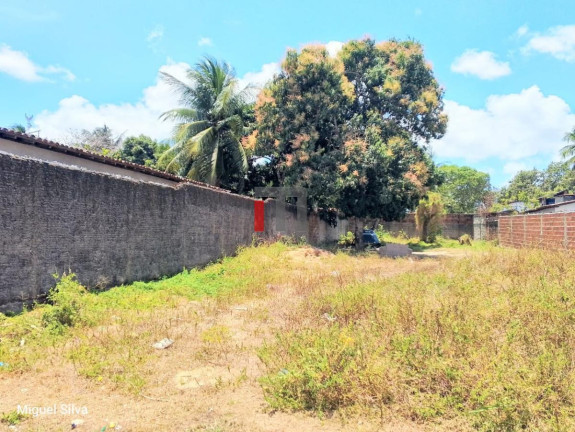 Imagem Terreno à Venda, 530 m² em São José - Macaíba Imagem Terreno à Venda, 530 m² em São José - Macaíba