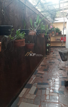 Imagem Casa com 3 Quartos à Venda, 170 m² em Campos Elíseos - Ribeirão Preto Imagem Casa com 3 Quartos à Venda, 170 m² em Campos Elíseos - Ribeirão Preto