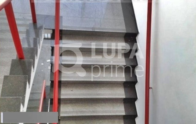 Imagem Imóvel Comercial para Alugar, 700 m² em Vila Maria Baixa - São Paulo