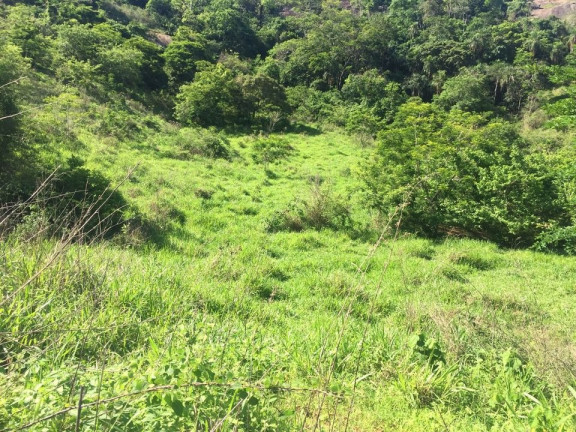 Imagem Imóvel com 2 Quartos à Venda, 113 m² em área Rural De Colatina - Colatina