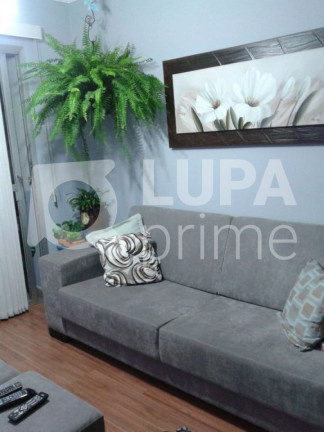 Imagem Apartamento com 3 Quartos à Venda, 78 m² em Vila Ede - São Paulo Imagem Apartamento com 3 Quartos à Venda, 78 m² em Vila Ede - São Paulo