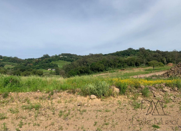 Imagem Terreno à Venda, 330 m² em Nossa Senhora Das Graças - Caxias Do Sul Imagem Terreno à Venda, 330 m² em Nossa Senhora Das Graças - Caxias Do Sul