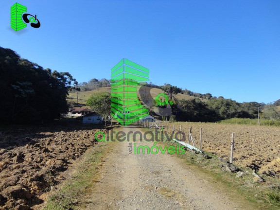 Imagem Fazenda à Venda, 31 m² em Pinhalzinho - Sto Antônio Do Pinhal - Santo Antônio Do Pinhal Imagem Fazenda à Venda, 31 m² em Pinhalzinho - Sto Antônio Do Pinhal - Santo Antônio Do Pinhal