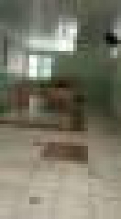 Imagem Apartamento com 3 Quartos à Venda, 67 m² em Jardim Das Bandeiras - Campinas Imagem Apartamento com 3 Quartos à Venda, 67 m² em Jardim Das Bandeiras - Campinas