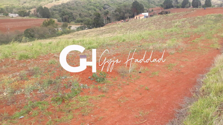 Imagem Chácara à Venda, 5.000 m² em Piedade Imagem Chácara à Venda, 5.000 m² em Piedade