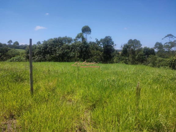Imagem Terreno à Venda, 2.000 m² em Casarão Do Chá - Mogi Das Cruzes Imagem Terreno à Venda, 2.000 m² em Casarão Do Chá - Mogi Das Cruzes