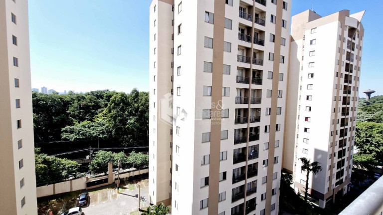 Imagem Apartamento com 3 Quartos à Venda, 65 m² em City América - São Paulo