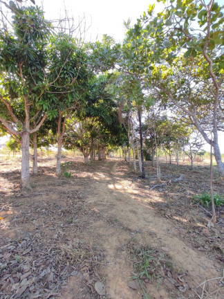 Imagem Chácara à Venda, 5.000 m² em Parque Las Vegas - Bela Vista De Goiás Imagem Chácara à Venda, 5.000 m² em Parque Las Vegas - Bela Vista De Goiás