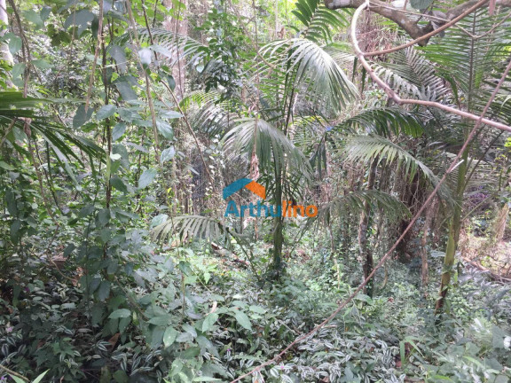 Imagem Terreno à Venda, 2.765 m² em Chácara Represinha - Cotia Imagem Terreno à Venda, 2.765 m² em Chácara Represinha - Cotia