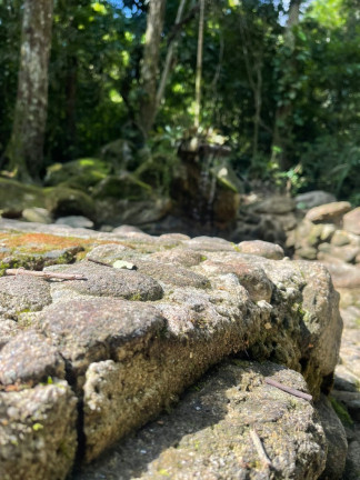 Imagem Imóvel com 5 Quartos à Venda, 20.000 m² em Maresias - São Sebastião