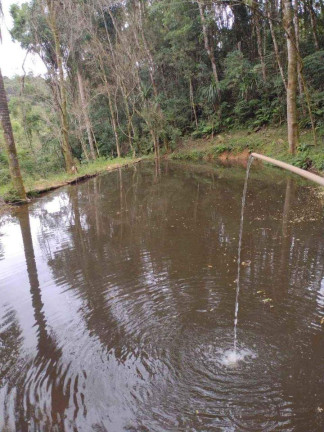 Imagem Imóvel à Venda, 33.000 m² em Itaqui De Cima - Campo Largo Imagem Imóvel à Venda, 33.000 m² em Itaqui De Cima - Campo Largo