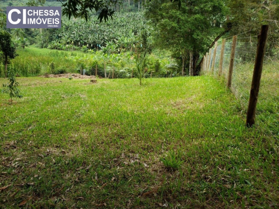 Imagem Chácara com 2 Quartos à Venda, 21.000 m² em Vila Do Salto - Luiz Alves