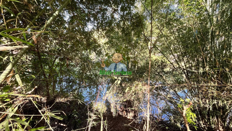 Imagem Chácara à Venda, 8.000 m² em Centro - Paraibuna Imagem Chácara à Venda, 8.000 m² em Centro - Paraibuna