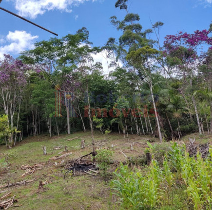 Imagem Chácara à Venda, 3.066 m² em 1º De Julho - Itapoá Imagem Chácara à Venda, 3.066 m² em 1º De Julho - Itapoá