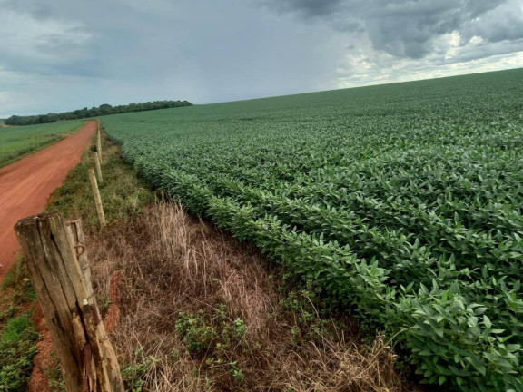 Imagem Fazenda à Venda, em Zona Rural - Caiapônia Imagem Fazenda à Venda, em Zona Rural - Caiapônia