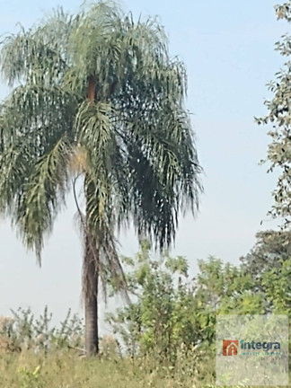 Imagem Chácara à Venda, 254 m² em Jardim Nova Limeira - Limeira Imagem Chácara à Venda, 254 m² em Jardim Nova Limeira - Limeira