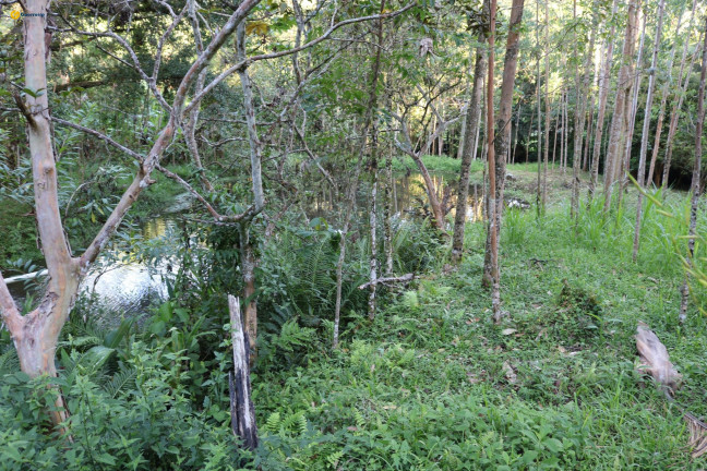 Imagem Fazenda à Venda, 72.924 m² em Sul Do Rio - Santo Amaro Da Imperatriz Imagem Fazenda à Venda, 72.924 m² em Sul Do Rio - Santo Amaro Da Imperatriz