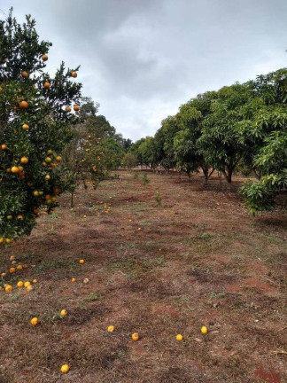 Imagem Chácara com 3 Quartos à Venda, 1 m² em Serra Azul - Mateus Leme