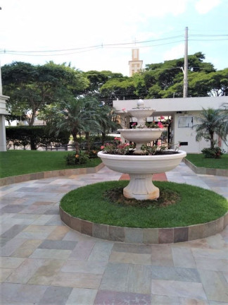 Imagem Apartamento com 3 Quartos à Venda, 70 m² em Vila Moraes - São Paulo