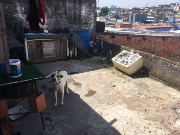 Imagem Sobrado com 2 Quartos à Venda, 125 m² em Campanario - Diadema Imagem Sobrado com 2 Quartos à Venda, 125 m² em Campanario - Diadema