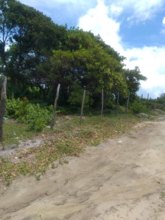 Imagem Terreno à Venda, 3.020 m² em Tibau Do Sul