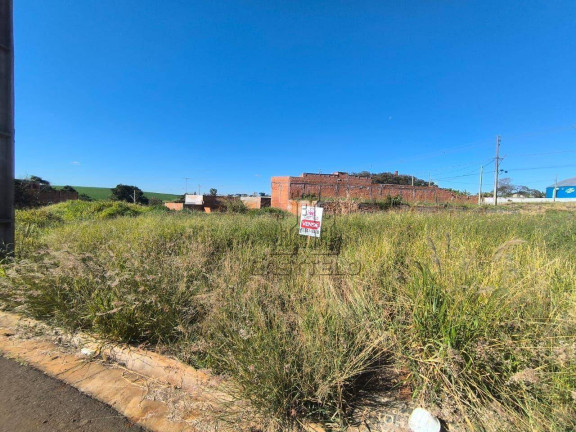 Terreno à Venda, 296 m² em São Lourenço - Londrina