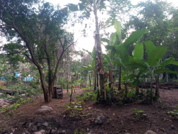Imagem Imóvel à Venda, 3.000 m² em Campo Grande - Rio De Janeiro Imagem Imóvel à Venda, 3.000 m² em Campo Grande - Rio De Janeiro