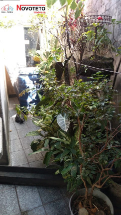Imagem Imóvel com 3 Quartos à Venda, 120 m² em Jardim Independência - São Paulo